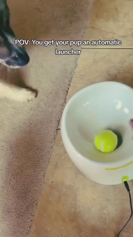 Lançador Automático de Bolas para Cães – Brinquedo Interativo