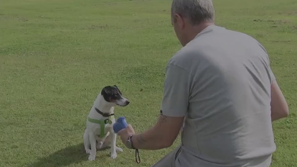 Brinquedo Divertido para Cães com Lançador de Petiscos